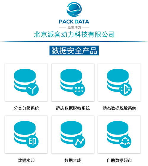 數(shù)據(jù)治理咨詢服務(wù) 北京派客動(dòng)力公司的軟件開(kāi)發(fā)賦能之道