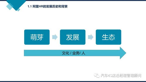 阿里巴巴組織能力建設 企業管理的核心路徑